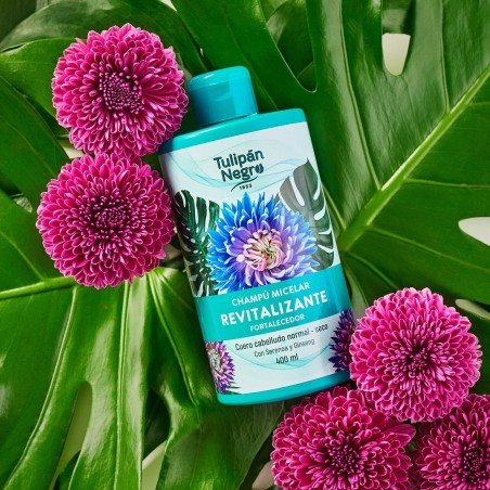 SHAMPOING MICELLAIRE TULIPAN NEGRO REVITALISANT