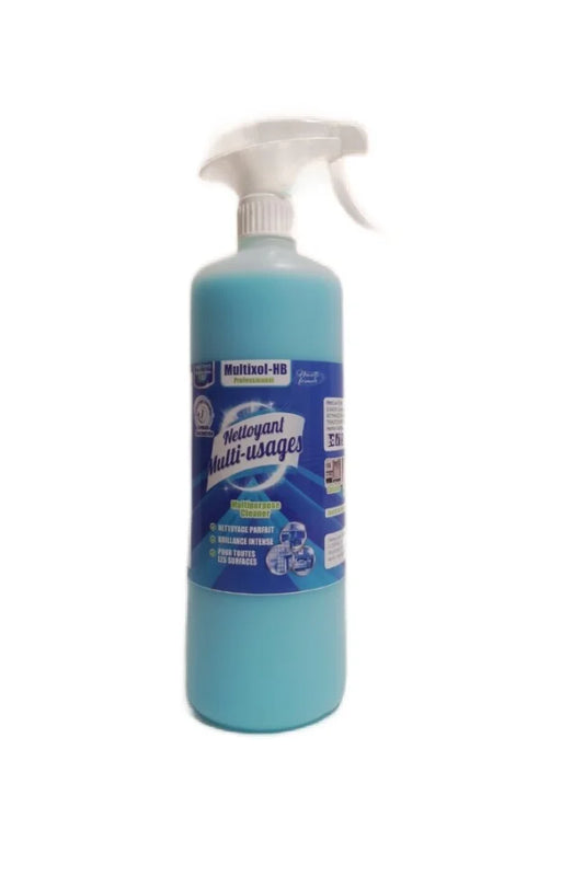 SPRAY MULTI-USAGE 1L